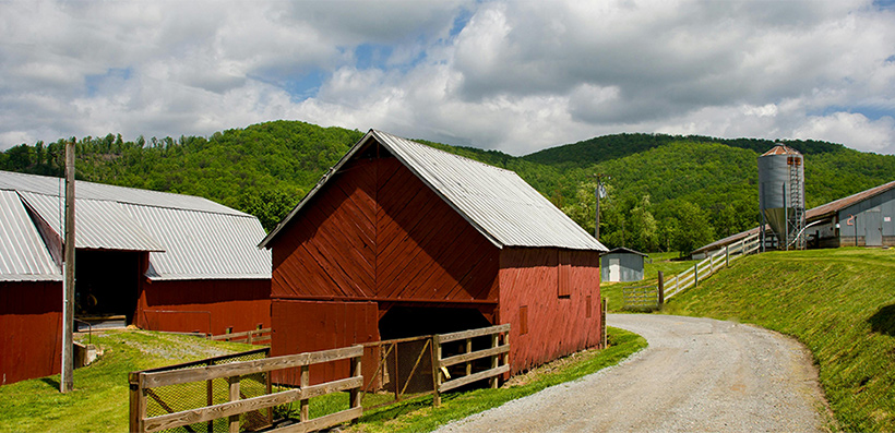 Evergreen Agro Farm